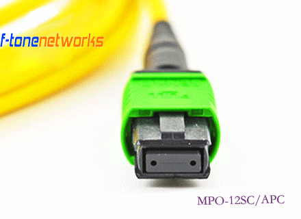 新利体育·luck18(中国)官方网站